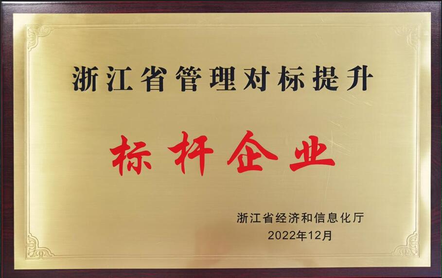 杭齒集團公司榮獲“浙江省管理對标提升标杆企業”稱号